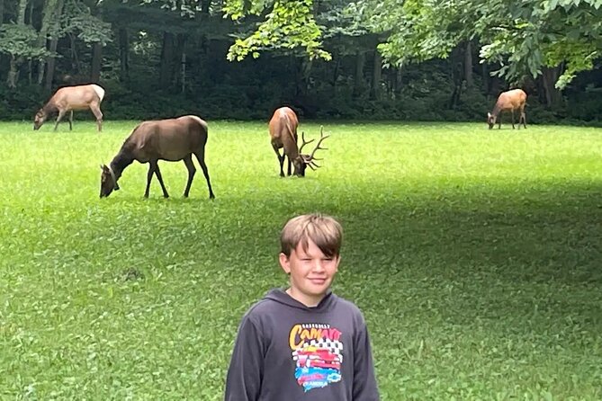 3 - 3.5 HR Smoky Mtn. Cherokee Eco Elk Safari Jeep Adventure - Who should choose this Jeep adventure?