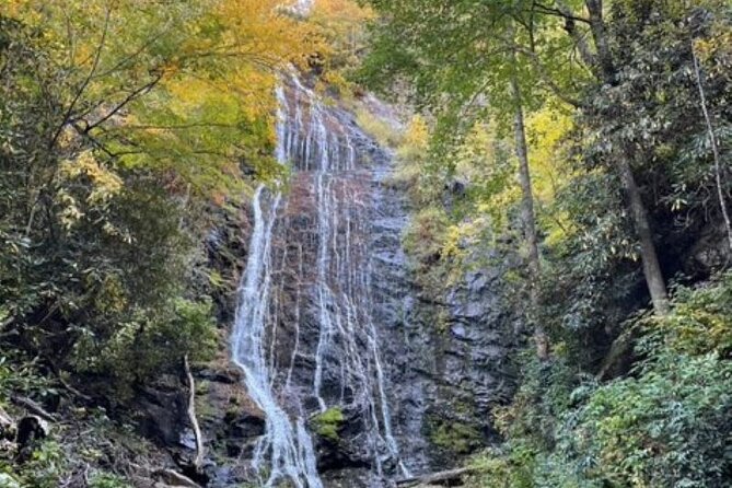 3 - 3.5 HR Smoky Mtn. Cherokee Eco Elk Safari Jeep Adventure - Weather, clothing, and booking advice