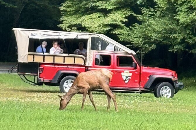 3 - 3.5 HR Smoky Mtn. Cherokee Eco Elk Safari Jeep Adventure - Blue Ridge Parkway: a short scenic stretch with big views