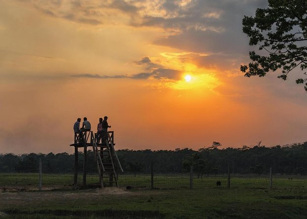 3-Day Chitwan National Park Jungle Safari Tour Package with Pick Up - Why Three Days Works Better Than a Day Trip