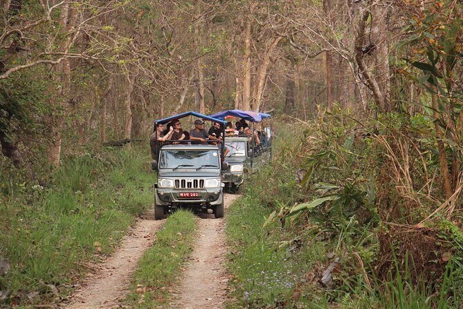 3-Day Chitwan National Park Jungle Safari Tour Package with Pick Up - Day Three: Bird-Watching and the Journey Back