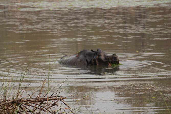 3-Day Chitwan National Park Jungle Safari Tour Package with Pick Up - Who Should Book This Chitwan Package?