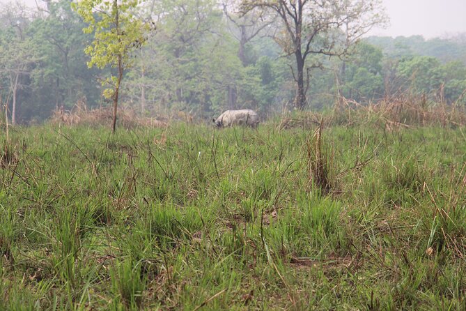 3-Day Chitwan National Park Jungle Safari Tour Package with Pick Up - Should You Book It?