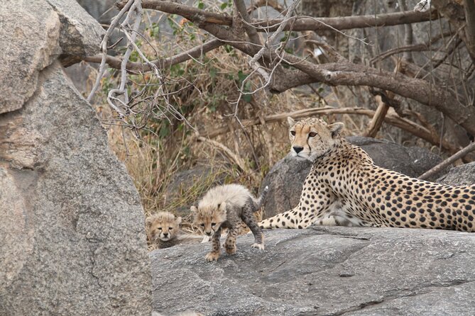 3-Day Classic Serengeti Safari - Leaving Arusha for Serengeti National Park
