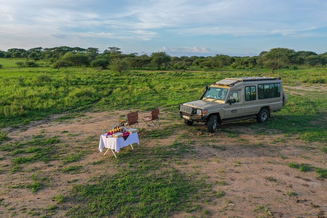 3-Day Classic Serengeti Safari - What the $1,455.36 price covers