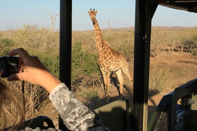 3-Day Kruger National Park Open Vehicle Safari - Day one: from Johannesburg to the park gate