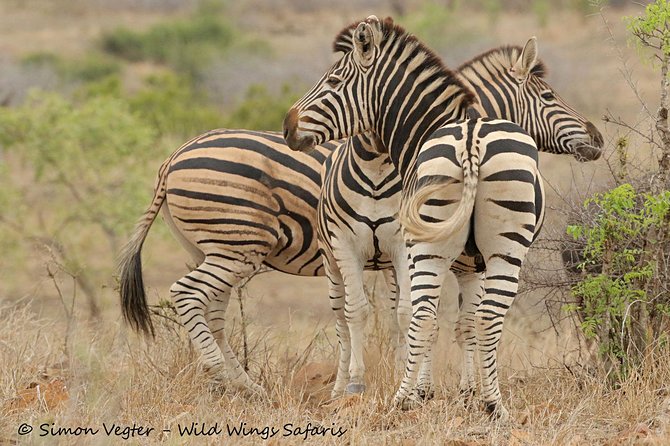 3-Day Kruger National Park Open Vehicle Safari - Sleeping inside Kruger in an air-conditioned bungalow
