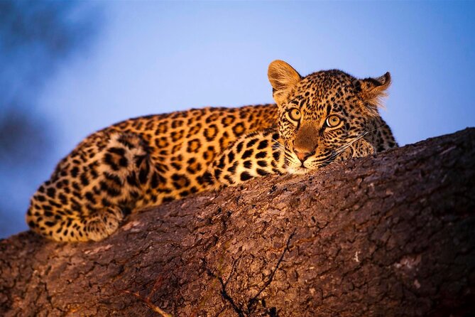 3-Day Safari Tour in two National Parks - Why these two parks work well together