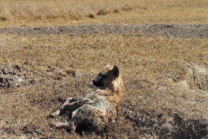 3-Day Safari Tour in two National Parks - Day 1: Red soil and late-afternoon wildlife in Tsavo East