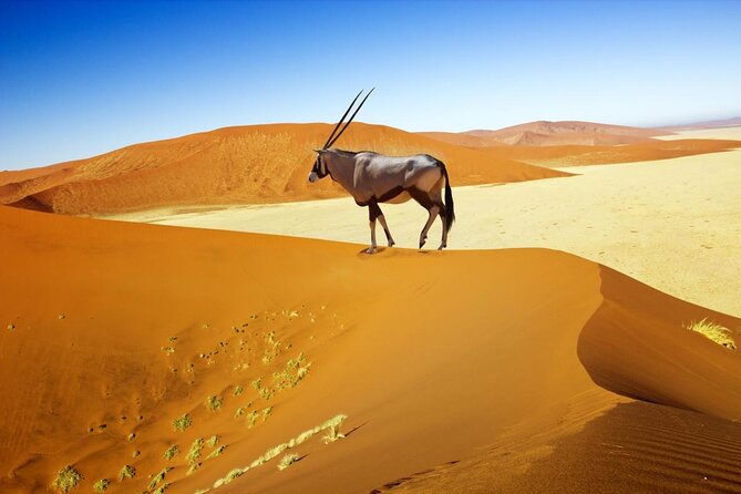 3 Day Sossusvlei Budget Camping Safari - Key things to know before you book