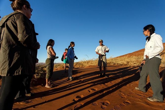 3 Day Sossusvlei Budget Camping Safari - Day two: Dune 45 and the strange beauty of Dead Vlei