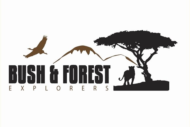 3-Day Tarangire, Ngorongoro and Lake Manyara Camping Safari - Day 3: Lake Manyara’s forest and lakeshore