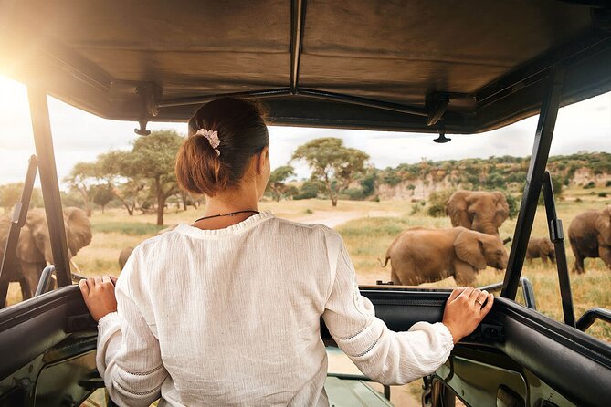 3-Day Tarangire, Ngorongoro and Lake Manyara Camping Safari - Who should book this safari?