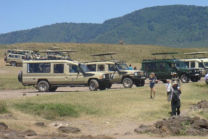 3-Day Taste of Tanzania Safari (Tarangire National park and Ngorongoro Crater) - What a full day in Tarangire feels like