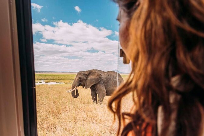 3-Day Taste of Tanzania Safari (Tarangire National park and Ngorongoro Crater) - Is $900 per person good value?
