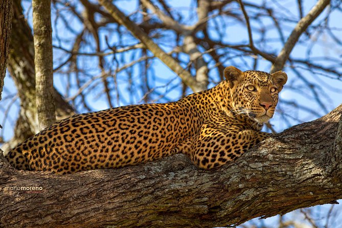 3-Day Taste of Tanzania Safari (Tarangire National park and Ngorongoro Crater) - What to pack and how to prepare