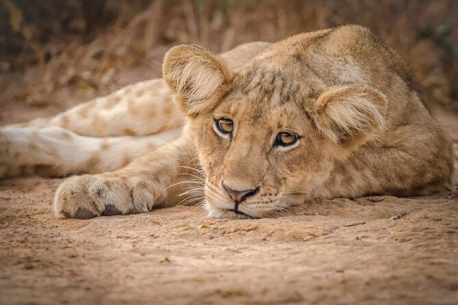3-Day Ultimate Big Five Safari - Murchison Falls & Rhinos - Why this three-day route works