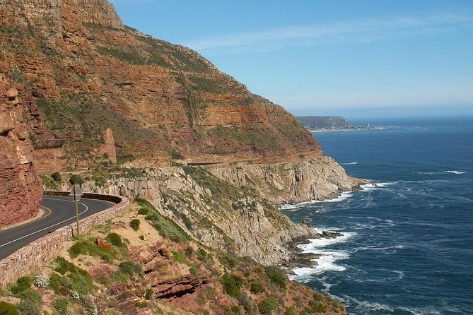 3 Day Wildlife Safari Tour - Garden Route Small Group Tour from Cape Town - Who should book this trip