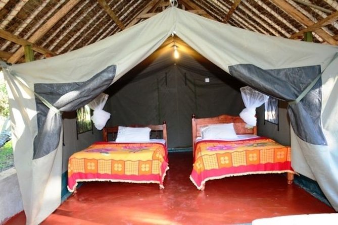 3 days 2 nights budget group safari to Maasai Mara National Reserve - Day two is where the value appears