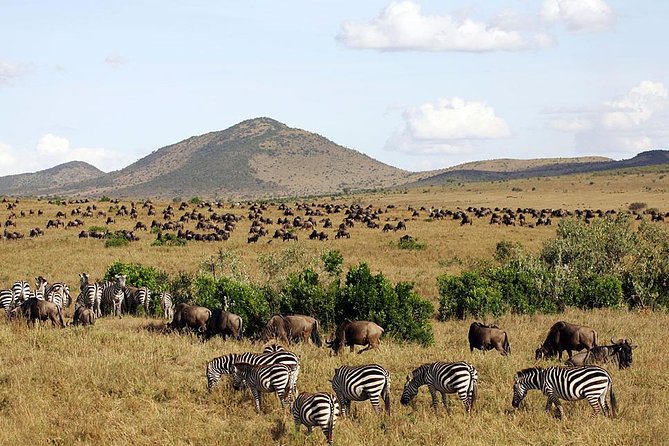 3 days 2 nights budget group safari to Maasai Mara National Reserve - Day three combines culture with the road back