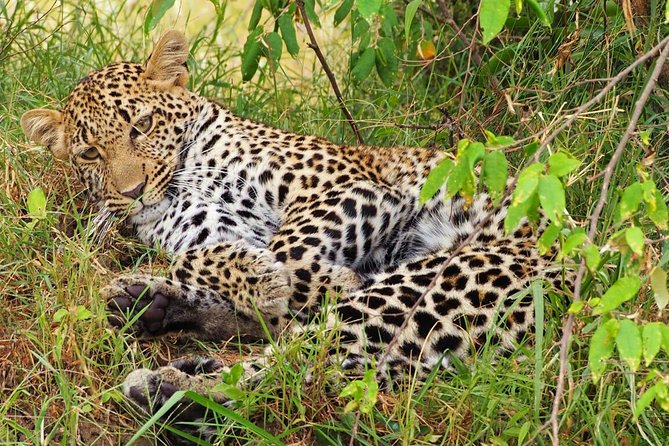 3 days 2 nights budget group safari to Maasai Mara National Reserve - Leaving Nairobi for the Great Rift Valley