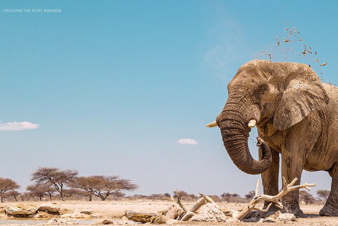 3 Days 2 Nights Group Joining Serengeti and Ngorogoro Safari - Day three: Ngorongoro Crater from the rim to the floor