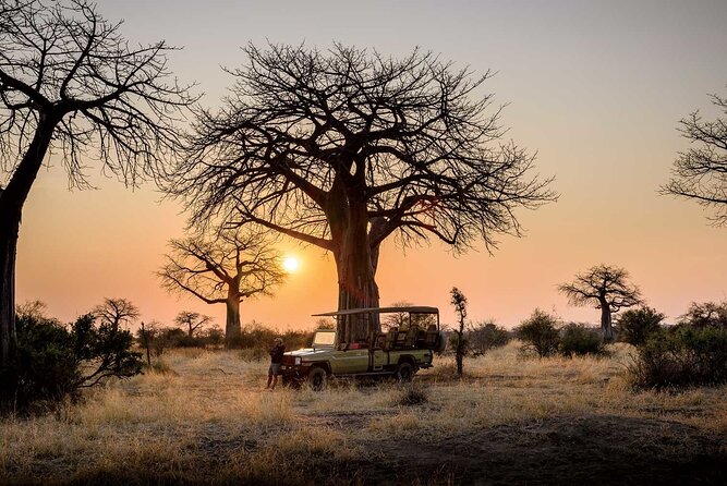 3 Days 2 Nights Group Joining Serengeti and Ngorogoro Safari - Why the guide and vehicle matter