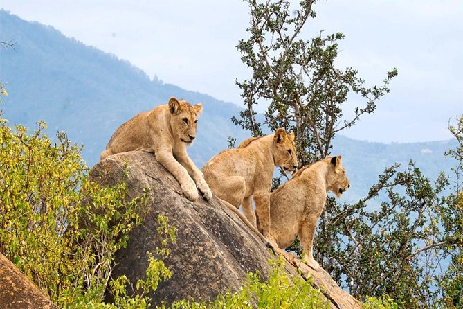 3 Days, 2 Nights Safari - Amboseli National Park and Tsavo West Adventure Safari - Should you add the Tsavo East return?