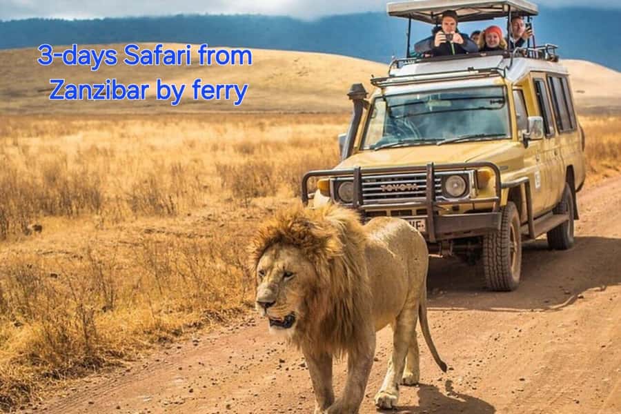 3 DAYS, 2 NIGHTS SAFARI FROM ZANZIBAR TO MIKUMI BY FERRY. - Why this Mikumi trip is worth considering