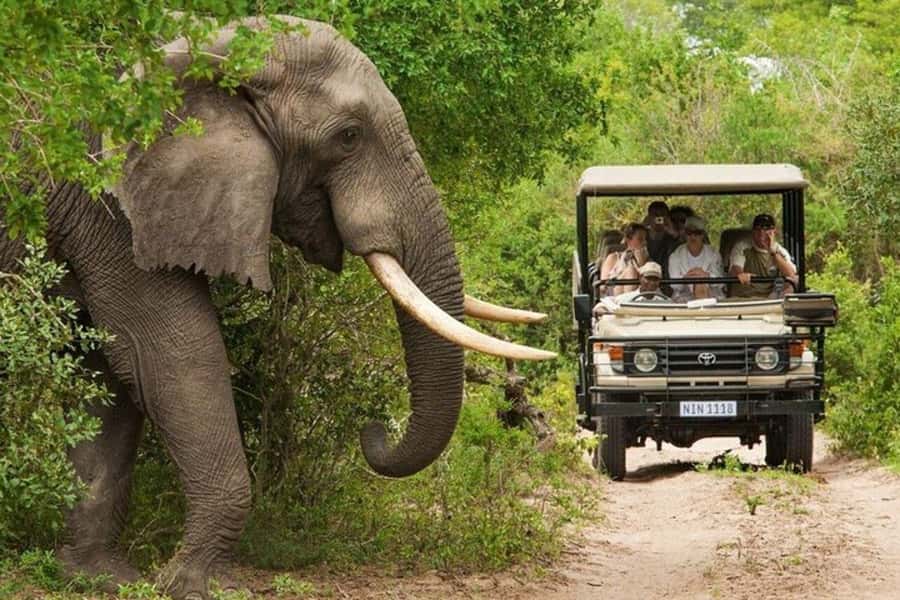 3 DAYS, 2 NIGHTS SAFARI FROM ZANZIBAR TO MIKUMI BY FERRY. - The real appeal: getting to Mikumi by ferry and train