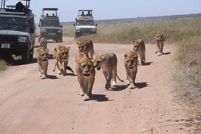3 days fly in safari - What the $2,600 price really covers