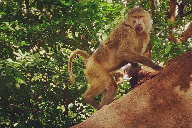 3 days fly in safari - Small practical points that affect comfort