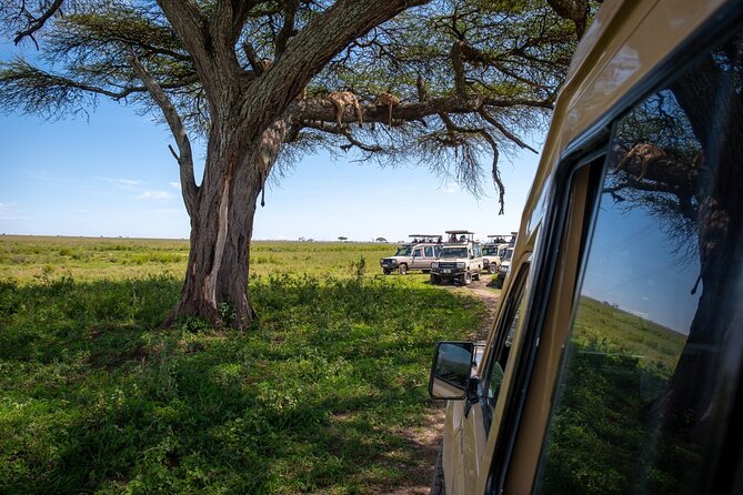 3 Days Group Safari Serengeti & Ngorongoro - Why this three-day safari works