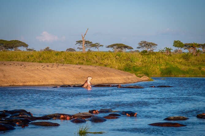 3 Days Group Safari Serengeti & Ngorongoro - Camping, meals, and the practical level of comfort