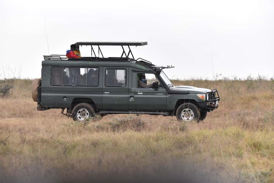 3 Days Maasai Mara Small Group Safari- Jambo Mara Lodge - Jambo Mara Lodge: comfort with a few limits