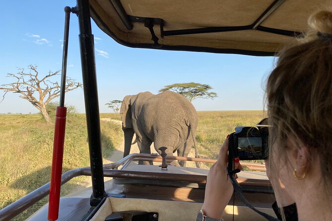 3 Days Private Budget Safari to Tarangire and Ngorongoro Crater - Arriving in Arusha and meeting your guide