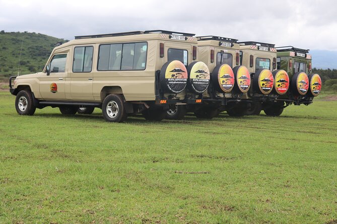 3 Days Private Safari - manyara, Ngorongoro & Tarangire - Day 3: Tarangire’s elephants, baobabs, and river