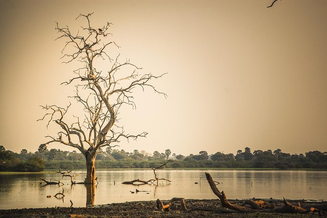 3 Days Safari - Selous Game Reserve - Key points before you book