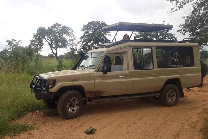 3 Days Safari - Selous Game Reserve - Guides can make or break a short safari