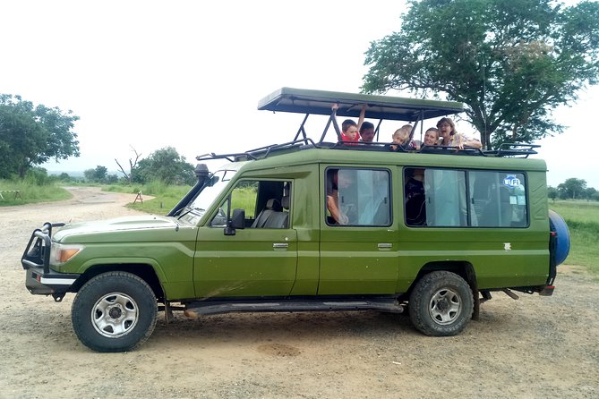 3 Days Safari to Mikumi NP - Accommodation Inside the Park - Day 3: The accommodation decision changes the morning