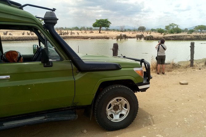 3 Days Safari to Mikumi NP - Accommodation Inside the Park - Who should book this safari