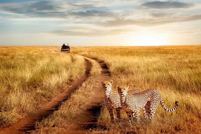 3 Days Safari to Serengeti National Park & Ngorongoro Crater in Tanzania - Day one: the long road to Serengeti National Park