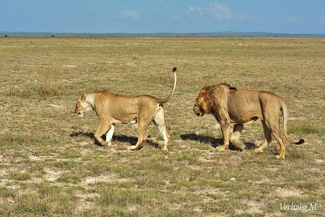 3 days safari Tsavo East and Taita hills (Saltlick lodge) - From the Mombasa coast to Tsavo East
