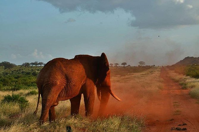 3 days safari Tsavo East and Taita hills (Saltlick lodge) - Why the Taita Hills stop matters