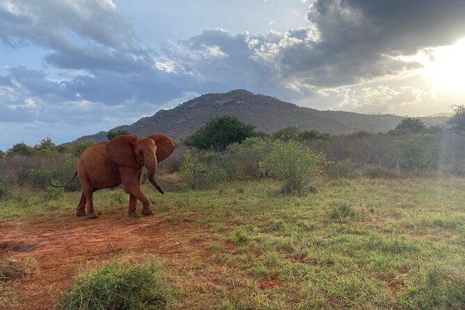 3 days safari Tsavo East and Taita hills (Saltlick lodge) - How to prepare for three days in the bush