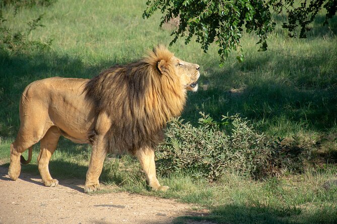 3 Days Tanzania Budget Group Joining Safari Tour - Key points at a glance