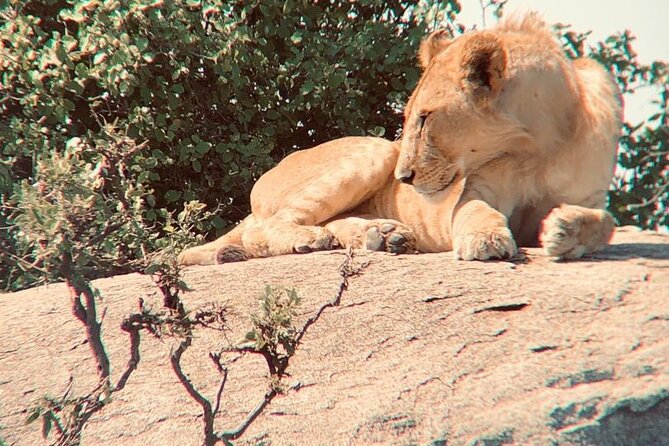 3 Days Tanzania Safari - How the itinerary feels in practice