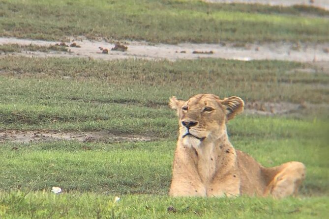 3 Days Tanzania Safari - What the $780 price should mean for you