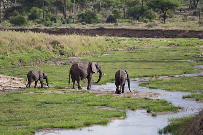 3 Days Tanzania Safari: Tarangire, Manyara and Ngorongoro Crater - Group size, pickup, and the daily rhythm