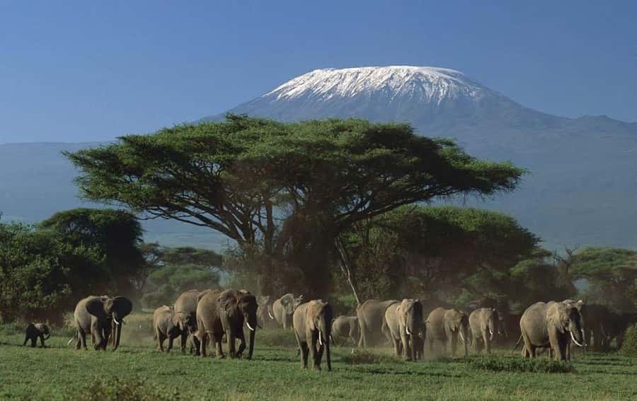 3 days Tsavo East and Amboseli safari from Diani/Mombasa - The Tsavo to Amboseli Transfer